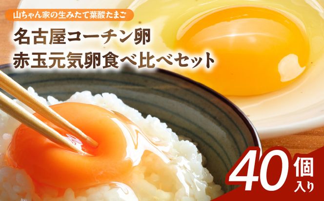 【山ちゃん家の生みたて葉酸たまご】名古屋コーチン卵・赤玉元気卵 食べ比べセット（各20個 合計40個入り）［132Y10］山ちゃん家 生みたて 葉酸たまご 名古屋コーチン卵 赤玉元気卵 食べ比べ セット 各 20個 合計 40個 入り 地鶏 卵 朝食 卵焼き 目玉焼き オムライス ゆでたまご 山田養鶏 お取り寄せ 愛知県 小牧市 送料無料