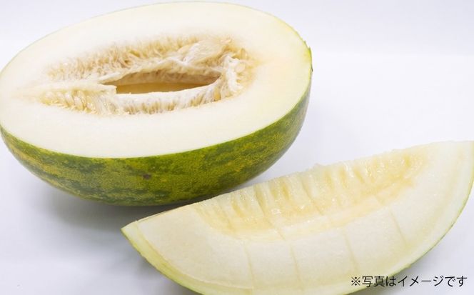 パパイヤメロン 6玉 （ 約 5kg ） / メロン めろん パパイヤメロン 果物 フルーツ / 南島原市/ 小田メロン園[SGX001]