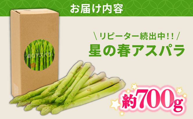 【2027年3月～発送】【星のアスパラ】グリーンアスパラガス 約700g / アスパラ アスパラガス 野菜 / 南島原市 / ほしのYA[SEY022]