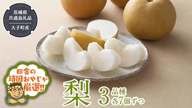 梨 3品種 各7個ずつ【2026年8月より発送開始】（茨城県共通返礼品 [梨]：大子町産）田舎の頑固おやじが厳選！  なし ナシ 果物 フルーツ 茨城県産 [BI454-NT]
