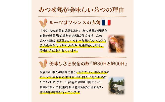 【定期便 年6回】みつせ鶏 バラエティ定期便 鶏肉 みつせ鶏 もも むね ささみ 手羽先 手羽元  ぶつ切り 正肉 バラ凍結 冷凍 国産 唐揚げ 親子丼 チキン南蛮 とり天 定期便
