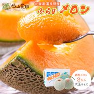 テレビで紹介されました！【2026年夏発送】北海道 富良野産 赤肉メロン 2玉 計3.2kg以上 大玉サイズ メロン
