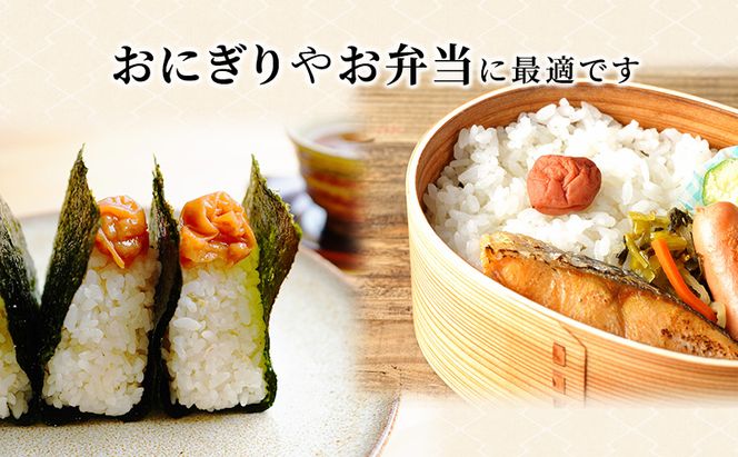 梅干し 650g うす塩味 福梅ぼし うめぼし 梅 うすしお うす塩 紅さし梅 紅映梅 梅 うめ ウメ 福井県 福井 
