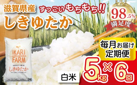 【7年産】すっごいもちもち「しきゆたか」白米定期便　6カ月で5kgを6回お届け（1カ月に1回）【C013W1】