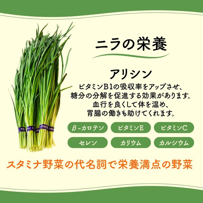 【先行予約】【11月から発送】肉厚・シャキシャキ! 朝採れ鮮度抜群! 布施さん家のニラ 1kg(100g×10束) SMBY001