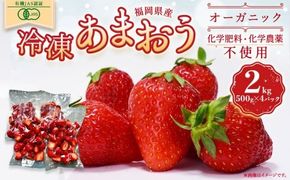 オーガニック冷凍あまおう 2kg (500g×4パック)【伊世いちご畑】_HA1316