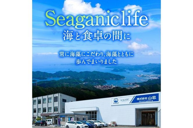 海藻セット「海藻便り」 (全7種) ひじき ふりかけ ちりめん くろめ わかめ 乾物 詰め合わせ セット 常温 大分県 佐伯市【CW04】【(株)山忠】