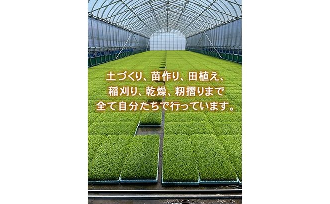 R7年産コシヒカリ10kg（5kg×2）｜射水市 ライスファーマー山上 農家直送 射水の美味しいお米 精米 ※離島への配送不可