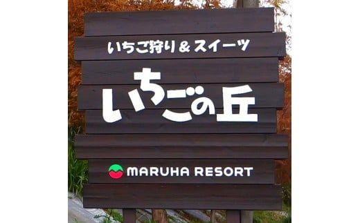 まるは食堂 マルハリゾート いちごの丘『いちご狩り』ペアご招待券　※大人(中学生以上)2名様用 いちご いちご狩り 章姫 かおり野 甘い 完熟 新鮮 穫れたて 香り豊か 自然