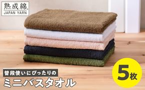 knt0042 【特別寄附金額】普段使いにぴったり ミニバスタオル 5枚【泉州タオル 国産 吸水 たおる 普段使い 無地 シンプル 日用品 家族 ファミリー】