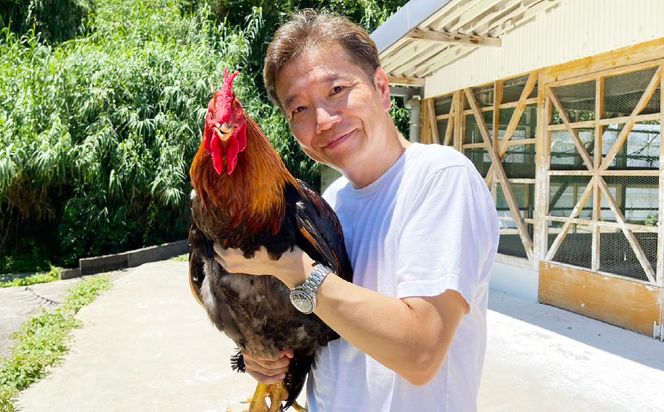 上田アニのクリームシチュー5箱セット	250g×5箱 合計1.25kg シチュー クリームシチュー 天草大王 鶏肉 常温 熊本県 上天草市