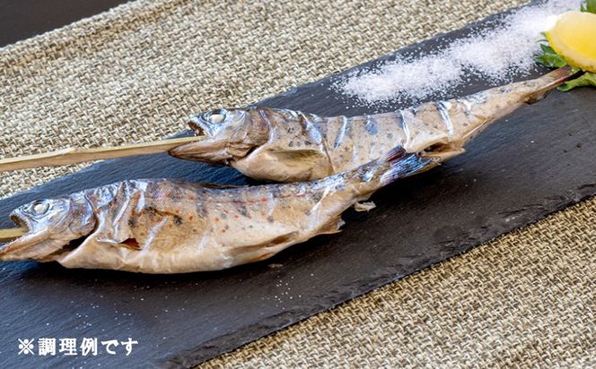 串やまめ(４本)　山女 ヤマメ 山女魚 川魚 串刺し