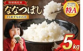 米 特Aランク 令和8年 ななつぼし 特栽米 JA新すながわ産 5kg [ホクレン商事 北海道 砂川市 12260805] 定期 お米 コメ 白米 ごはん ご飯 国産 米 こめ kome おこめ