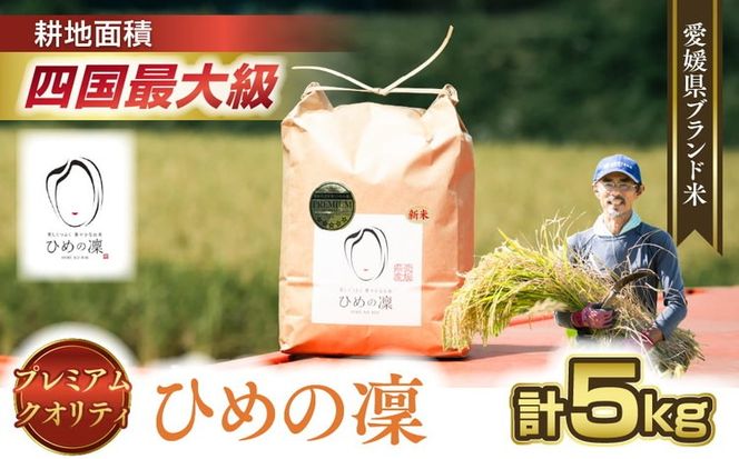 【R7年産】【愛媛県ブランド】ひめの凜 5kg（プレミアムクオリティ） ｜ お米 お米不足 お米品薄 おいしい お米 事業者支援 送料無料 白米 精米 国産 限定 ごはん ご飯 白飯 ゴハン 愛媛県産 鬼北町 ※2025年11月上旬より順次発送予定