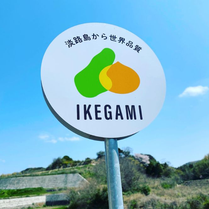 淡路島　池上農場の完熟たまねぎ「あやたけ」20kg　[玉ねぎ 産地直送 玉ねぎ]