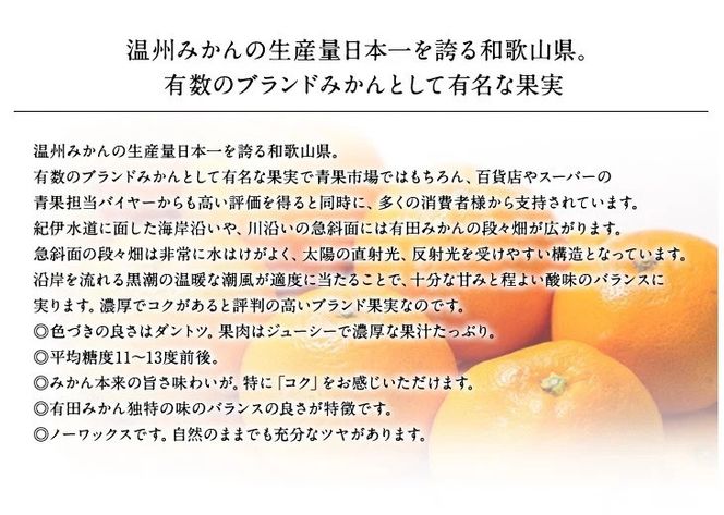 【予約受付】ブランド有田みかん　秀品5キロ/サイズお任せ　※2026年10月中旬～2027年1月中旬頃に順次発送予定（お届け日指定不可）　紀伊国屋文左衛門本舗【kztb140C】