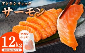 G3561 アトランティックサーモン 1.2kg【小分け 200g×6P 柵切り 刺身 魚介 海鮮 さーもん 生食】