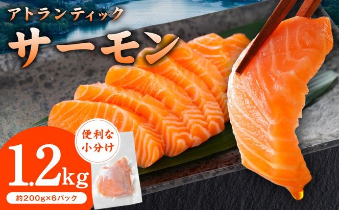 G3561 アトランティックサーモン 1.2kg【小分け 200g×6P 柵切り 刺身 魚介 海鮮 さーもん 生食】
