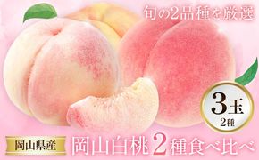 【2027年発送先行予約】岡山白桃 2種 食べ比べ 約750g(3玉)×2種 晴れの国おかやま館 (つむぐ株式会社) 《2027年7月中旬-8月下旬頃出荷》岡山県 笠岡市 フルーツ 果物 果実 桃 白桃 もも モモ【配送不可地域：離島】---H-109---