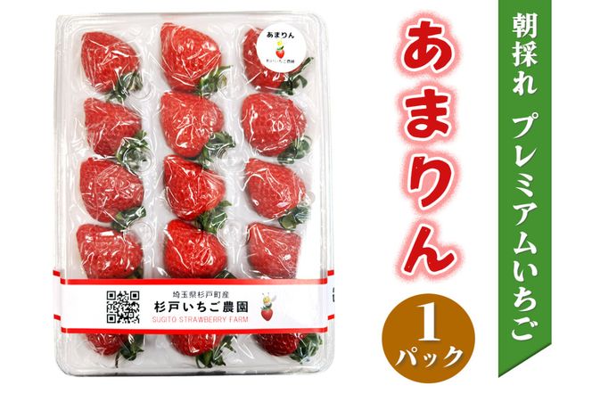 yʌ˒z[s\]s܂t̂ v~A 1pbNb IWi i x  Â  C`S SugarBerry  [0681]