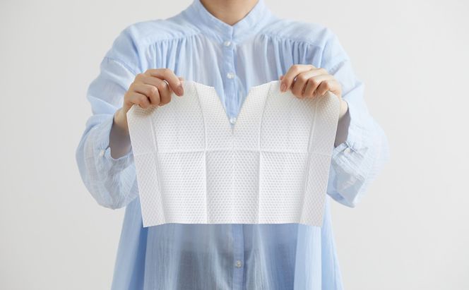 【20枚入り×12個】トルクリーン トイレクリーナー厚手 T-TA20 20枚入り（10枚×2個） トイレ掃除シート 20枚 除菌 抗菌 丈夫 重曹 黄ばみ 汚れ 凹凸エンボス トイレクリーナーシート 使い捨て 流せる 掃除シート アイリスオーヤマ