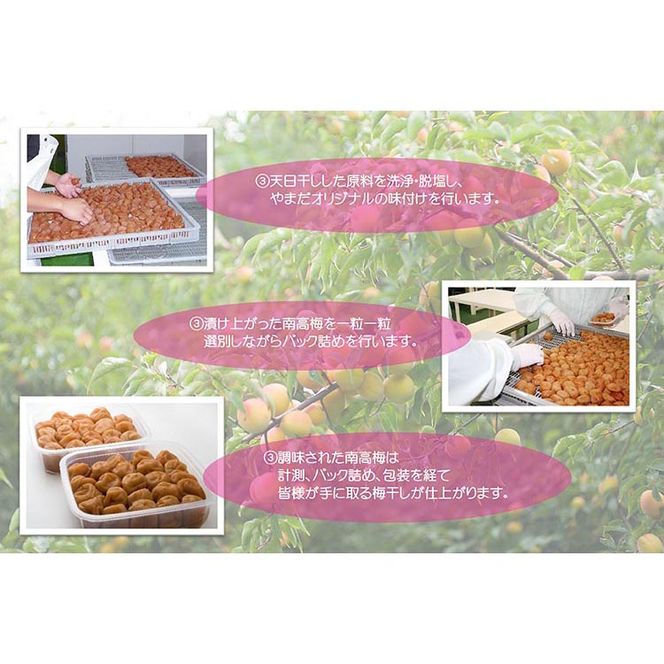 【定期便/2か月ごと/全5回】紀州南高梅プレミアム塩分約3％（850g）