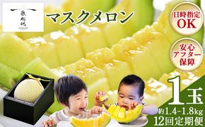 【12回定期便】一果相伝マスクメロン 1玉入り - めろん 青肉 果物 くだもの フルーツ 贈答用 贈答品 贈り物 ギフト お礼 御礼 感謝 お祝い 御祝い 産地直送 新鮮 篤農 高知県 香南市 常温 Wtn-0052