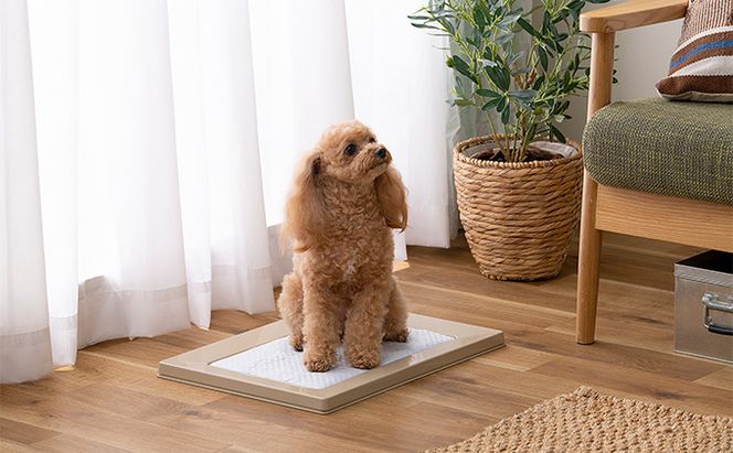 スクエアドッグトレー レギュラー SQDT-482R ベージュ アイリスオーヤマ ペット用品 犬 愛犬 グッズ おしっこ おしっこトレー マグネット シーツ交換 ラク 内側に流れる 傾斜形状 掃除しやすい 