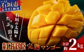 【2026年発送 先行予約】「紅福姫ブランド」石垣島のマンゴー 約2kg 【沖縄県 石垣市 産地直送 旬 石垣島産 マンゴー 完熟マンゴー アーウィン種マンゴー】OT-05
