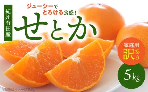 G7355_【2027年先行予約】とろける食感！ジューシー柑橘 せとか 5kg 【家庭用 訳あり】