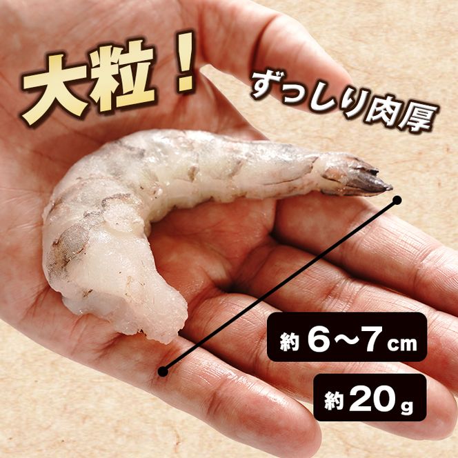 至福の大粒 むきえび　背ワタ処理済 1kg【2026年11月より順次発送】　えび