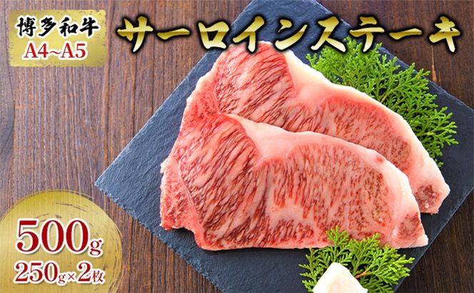 牛肉 サーロインステーキ 合計500g 博多和牛 A4～A5 250g×2枚 セット 配送不可：離島 
