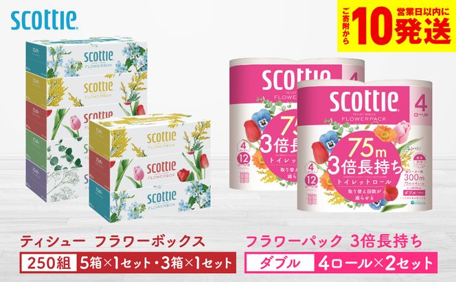 �y�F�{������s�z�y�X�R�b�e�B�z�e�B�V���[ �t�����[�{�b�N�X 250�g�i5���p�b�N×1�Z�b�g�E3���p�b�N×1�Z�b�g�j�{�t�����[�p�b�N 3�{�������i4���[��(�_�u��)�p�b�N×2�Z�b�g�j�e�B�b�V�� �g�C���b�g�y�[�p�[ ���p