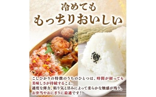 【令和7年産】 米 こしひかり 5kg 10kg 15kg 30kg 60kg 定期便 3ヶ月 6ヶ月 お米 白米 精米 新米 コシヒカリ ごはん ご飯 高知県産 弁当 おにぎり 料理 令和7年 R7年 早場米 超早場米 美味しい 人気 甘み 粘り 日本一 国内消費 全国 大消費地 温暖気候 収穫 栽培 農家 生産者 食卓 農産物 特産品 ブランド米 安芸市 高知県