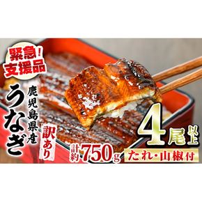 【0184369a】【緊急支援品】＜訳あり＞鰻の蒲焼き(無頭)(4尾以上・計約750g・タレ、山椒付) うなぎ ウナギ 鰻 国産 蒲焼 蒲焼き たれ 鹿児島 ふるさと 人気 支援 【アクアおおすみ】