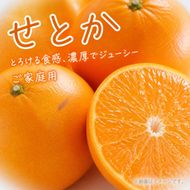 紀州有田産せとか約3kg［ご家庭用］　とろける食感！ジューシー柑橘［2027年2月下旬以降発送］［先行予約］［UT133w］AN059