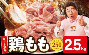 mrz0446 【小分け】国産鶏もも肉 2.5kg（250g×10P） 【カット済み 氷温熟成×極味付け 簡単調理 訳あり サイズ不揃い 鶏肉 とり スピード発送 】