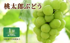 ぶどう 2026年 先行予約 特選 桃太郎 ぶどう 1房 約700g ブドウ 葡萄  岡山県産 国産 フルーツ 果物 ギフト いろは堂 