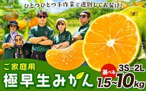 みかん ご家庭用 柑橘 極早生 極早生みかん 手選別 選べる 2S-2Lサイズ混合 3S・2Sサイズ混合 1.5kg 4.5kg 6kg 8kg 10kg 森本農園《10月上旬-11月上旬頃出荷》和歌山県 日高町 柑橘類 フルーツ 家庭用 ミカン お取り寄せフルーツ【配送不可地域あり】---wsh_mnn24_10j11j_26_6000_1500g---