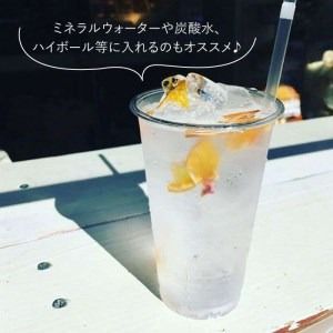 季節 の ウォーター ミックス 4袋 セット【110west.inc】【いとしまごころ】[ASC004] ドライフルーツ 砂糖不使用 無添加 あまおう 柑橘 ミックス 贈答