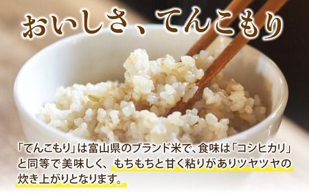【6ヶ月定期便】 富山県滑川産　「てんこもり」与文のお米 （玄米10kg）×6回 計60kg[K-050001] / 産地直送 袋 てんこもり おにぎり お米 白米 国産 ご飯 ごはん 富山県 滑川市 アグリめぐみ 頒布会 定期便 [K-050001]