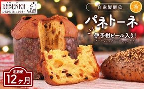 【12ヶ月定期便】自家製酵母使用のパネトーネ！！ 1個入り ｜ お菓子 おやつ