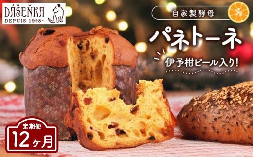 【12ヶ月定期便】自家製酵母使用のパネトーネ！！ 1個入り ｜ お菓子 おやつ