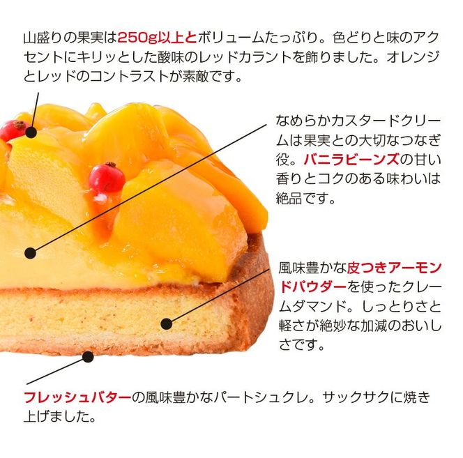 山盛りマンゴータルト