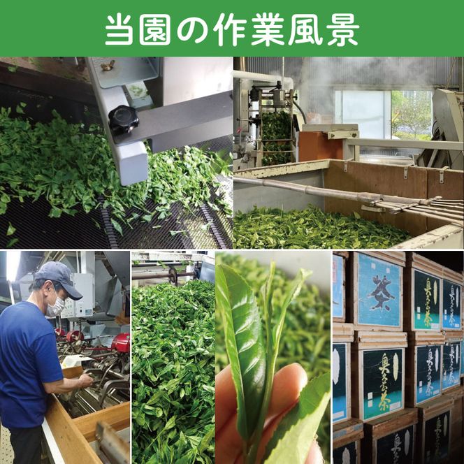 【農林水産大臣賞受賞】かねた園の奥久慈茶 大子銘茶 3種セット 計300g（100g×各1袋）（CK003）
