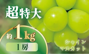 【2024年/令和6年発送分】最高級　超特大　シャインマスカット1房(約1.0ｋg）[山梨 シャインマスカット]　山梨県産　産地直送　フルーツ　果物　くだもの　ぶどう　ブドウ　葡萄　シャイン　シャインマスカット　新鮮　人気　おすすめ　国産　贈答　ギフト　お取り寄せ　AN-128