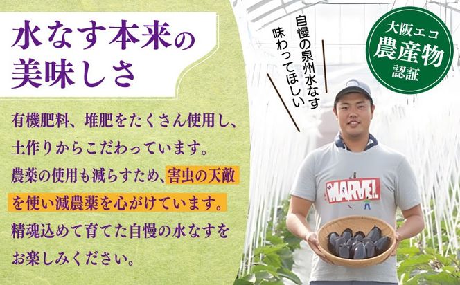 099H4539 【先行予約】朝採り直送 徳用水なす 15個 訳あり 規格外