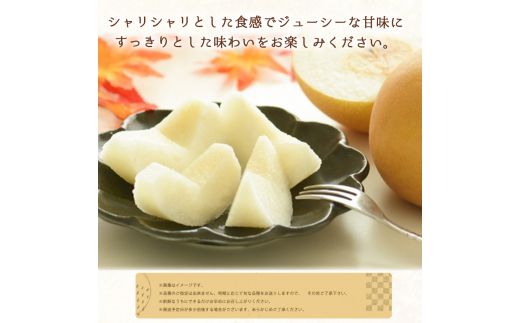 紀州和歌山産の梨 3玉 化粧箱入 ※2026年8月中旬～9月上旬頃に順次発送 ※日付指定不可 梨 なし ナシ 果物 くだもの フルーツ 甘い【uot787】