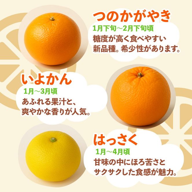 ＜1月より発送＞厳選 柑橘詰合せ2.5kg+250g（傷み補償分）◇【有田の春みかん詰め合わせ・フルーツ詰め合せ・オレンジつめあわせ】【光センサー選別】 ※北海道・沖縄・離島への配送不可 ※2026年1月上旬～4月下旬頃に順次発送予定