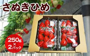 【12月～1月発送】いちご さぬきひめ DXパック 500g (250g×2パック) 香川県産 苺 イチゴ フルーツ 果物 くだもの 旬のフルーツ 旬の果物 大粒 香川 香川県 東かがわ市